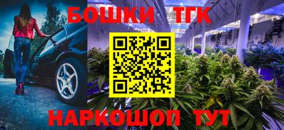 прущие крисы Аргун