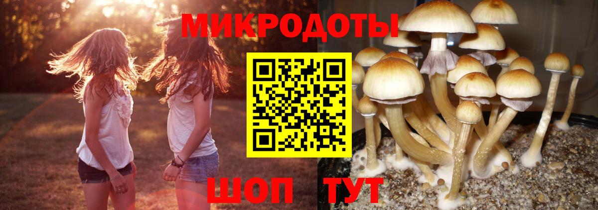 Псилоцибиновые грибы ЛСД  Вход с VPN  Галлюциногенные грибы MAGIC MUSHROOMS  магазин  наркотиков  Аргун 