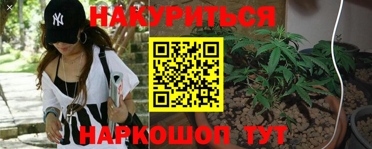 Бошки Шишки индика Аргун